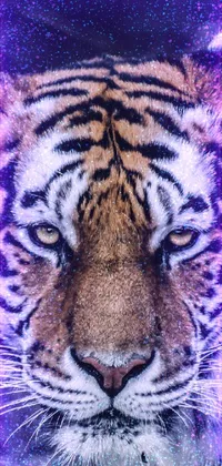 This phone live wallpaper showcases a stunning close-up of a tiger's face with glowing violet laser eyes in HD
