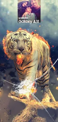 Siberian Tiger Bengal Tiger Roar Live Wallpaper