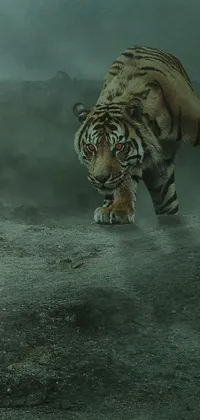 dark tiger Live Wallpaper