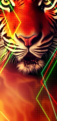This stunning phone live wallpaper features a mid-shot image of a majestic tiger's face