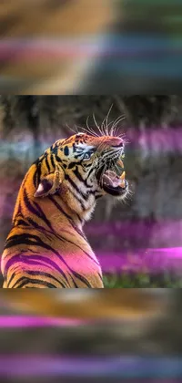 Get ready to add a touch of excitement to your phone's homescreen with this close-up tiger live wallpaper