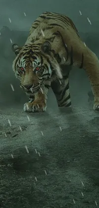 This live wallpaper features an intense and dramatic scene with a person facing a majestic tiger in a Fantasy-style matte painting