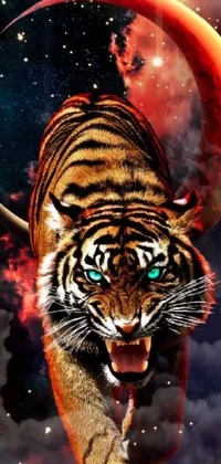 Siberian Tiger Bengal Tiger Water Live Wallpaper
