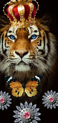Siberian Tiger Carnivore Butterfly Live Wallpaper