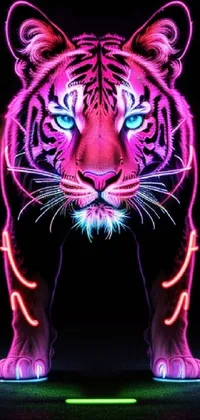 Siberian Tiger Light Bengal Tiger Live Wallpaper
