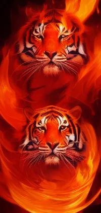 Siberian Tiger Light Felidae Live Wallpaper