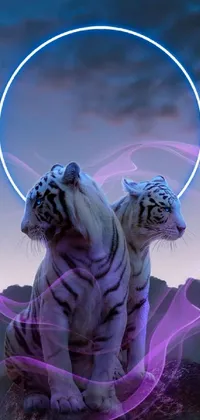 Siberian Tiger Nature Sky Live Wallpaper