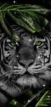 This animated phone wallpaper features a stunning black and white photo of a tiger with green eyes