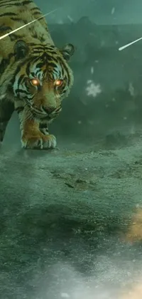 Siberian Tiger Water Bengal Tiger Live Wallpaper