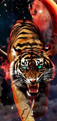 Siberian Tiger Water Bengal Tiger Live Wallpaper
