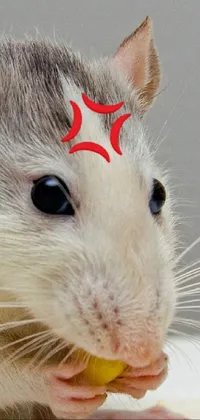 Skin Eye Rat Live Wallpaper