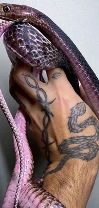 This live phone wallpaper features a close-up of a snake being held by a person, with their tattoo visible