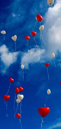 Sky Air Balloon Live Wallpaper