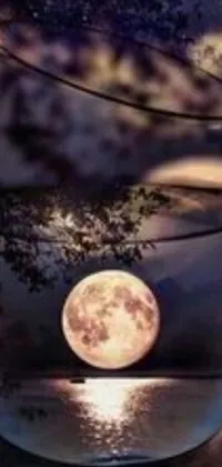 This stunning live wallpaper for your phone showcases a picturesque fishbowl illuminated by the luminous light of a full moon, set against a stunning backdrop