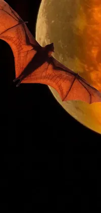 This live wallpaper features a bat flying in front of a full moon
