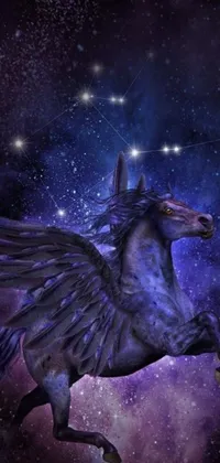 This live wallpaper showcases a beautiful piece of digital art featuring a captivating horse flying in the night sky, with black wings and the Aries constellation sparkling in the background