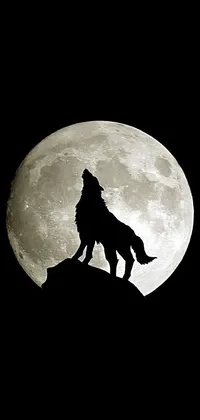 This phone wallpaper features an awe-inspiring image of a wolf standing atop a rocky outcrop silhouetted against the full moon