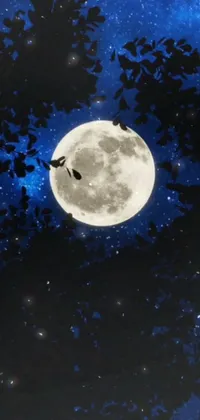 This stunning live wallpaper features bats flying in front of a full moon in a stunning and captivating design
