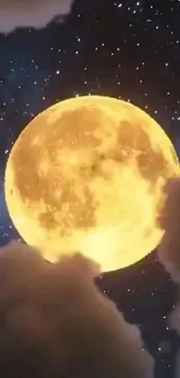 This stunning live wallpaper showcases a delightful feline gazing at a full moon in a serene and enchanting setting