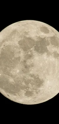 This stunning live wallpaper features a red and white passenger plane flying across a circular full moon