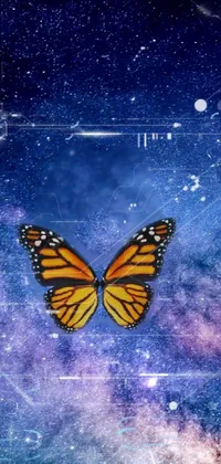 Sky Arthropod Butterfly Live Wallpaper