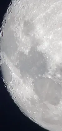 Enhance your phone's look with an awe-inspiring live wallpaper featuring a plane flying in front of a full moon