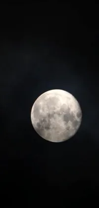 This stunning live wallpaper features a full or nearly full moon against a dark sky, casting a soft light over the landscape below