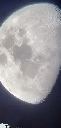 Get mesmerized by this phone live wallpaper featuring a plane flying in front of a large, hexagonal moon in high definition