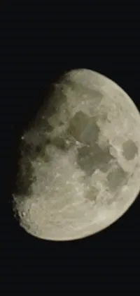 Adorn your phone with a monochrome live wallpaper showcasing a breathtaking image of the moon's surface