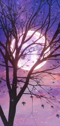 Sky Atmosphere Afterglow Live Wallpaper