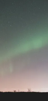 Experience the wonder of the Northern Lights through this stunning live wallpaper