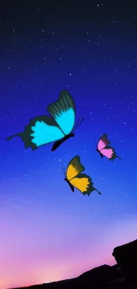 Sky Atmosphere Butterfly Live Wallpaper