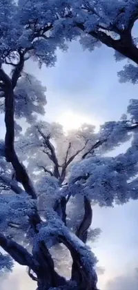 Transform your phone home screen with this stunning live wallpaper featuring a lone tree in snowy landscape