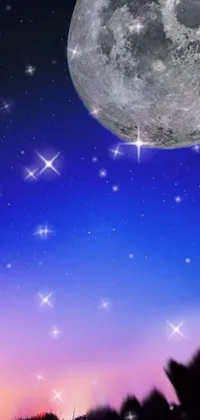 Experience the magic of the night sky with this captivating live wallpaper