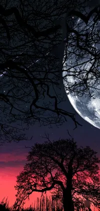 Looking for a breathtaking and enchanting live wallpaper for your phone? Look no further than this stunning digital rendering! Featuring a tree silhouette set against a full moon in the background, this image is a work of art