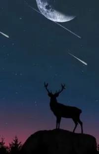 Sky Atmosphere Deer Live Wallpaper