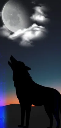 Sky Atmosphere Dog Live Wallpaper