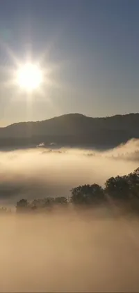 This phone live wallpaper showcases a mesmerizing nature scene of a sunrise over a foggy valley nestled within the grandeur of mountains