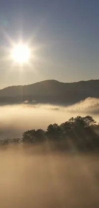This live phone wallpaper showcases a stunning valley during sunrise