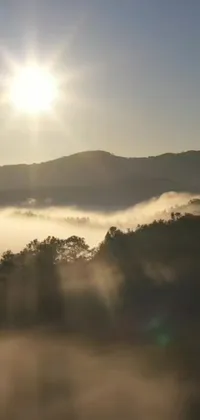 Transform your phone into a breathtaking paradise with our live wallpaper depicting a sun-lit and foggy valley