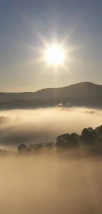 Experience the natural beauty of the "Foggy Valley" live wallpaper