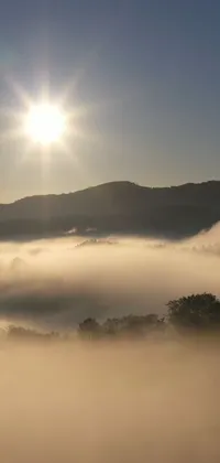 This stunning live wallpaper depicts a serene valley enveloped in fog with the sun shining brightly