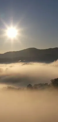 This live wallpaper showcases two cows grazing on a lush hillside with god rays bursting through fog as the sun rises over the Appalachian Mountains