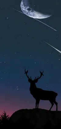 Sky Atmosphere Elk Live Wallpaper