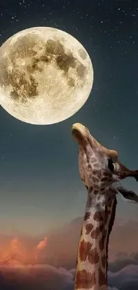 Sky Atmosphere Giraffe Live Wallpaper