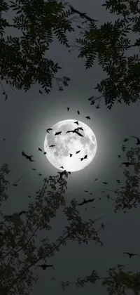 This live wallpaper showcases a stunning night sky with a flock of birds flying in front of a bright full moon and a striking image of a five-foot bat from the Philippines