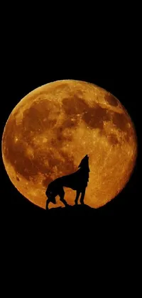 Looking for an epic live wallpaper for your phone? This stunning design features a grey-brown wolf standing proudly on a grassy hill, silhouetted against a vivid orange-red moon
