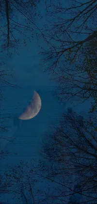 Sky Atmosphere Moon Live Wallpaper