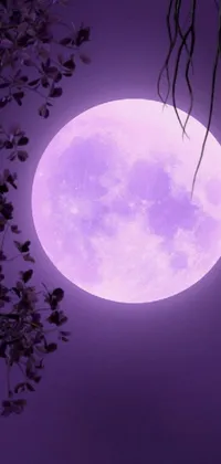 Download free Purple Full Moon Moon Knight Wallpaper 