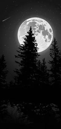 Full Moon In Dark Night Live Wallpaper